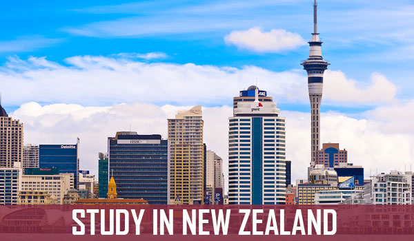 Study in New zealand